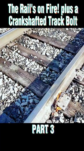 Exploring Life at the Railway Station