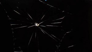 Can you believe it only takes this garden spider an hour to create an elaborate silk web? 🕸️This eight legged artist has created an orb web. Orb webs are considered the most efficient type of spider web, as the wheel-like design of the web covers the greatest area using the least amount of silk. | Discovery