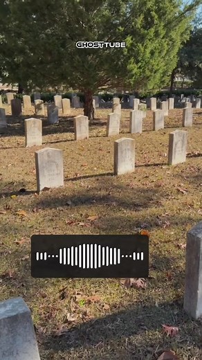 3.2K views · 104 reactions | Checking out the Ghost Tube spirit box app… who knew spirits could be so polite?! #paranormal #spirit #cemetery | Dalen Spratt | Facebook