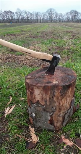 It Wouldn't Give Up! 🔥 Stubborn Beech Log & Dramatic Ripping Sound | Beautiful Interior