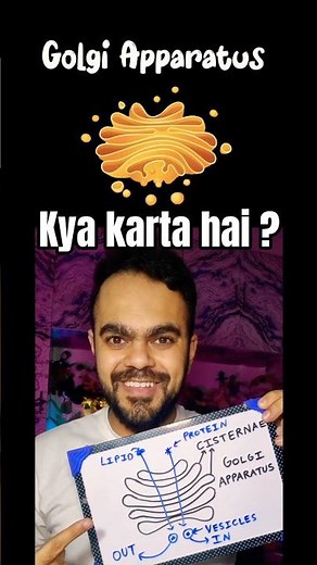 Golgi apparatus kya karta ha ? Cell | Class 9th #science #shorts