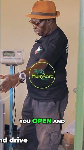 Farm's Secret: How This Scale Determines Pig's Value! #shorts