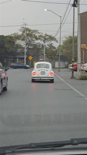 Bug Rat Fink on Reels