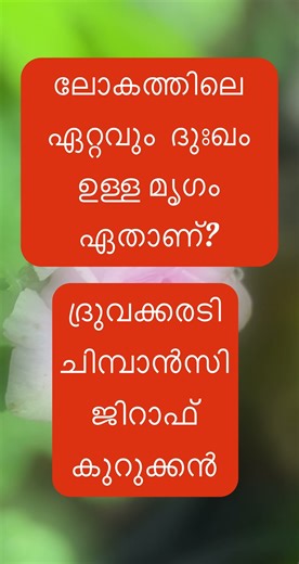 Episode 35: General knowledge / pse questions 2025 / pse exam / pse question / pse / quiz / reels