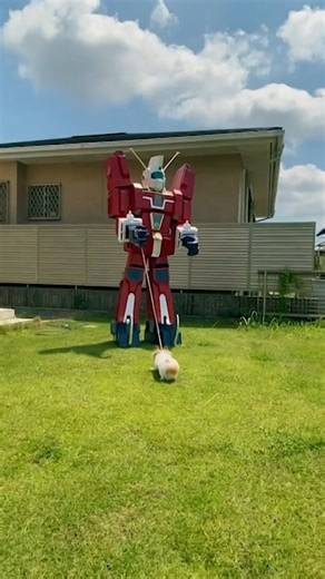 no words 🐶 #Ridiculousness | Ridiculousness