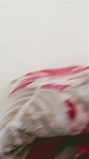 game over #mr_man #cartoon #funny #amazingfacts