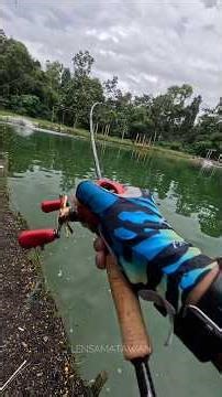 USAHA TIDAK SIAKAN HASIL 🔥 PUJUK SIAKAP KOLAM SEMENYIH DENGAN TEKNIK INI ! SEAHAWK XEON TYPE R