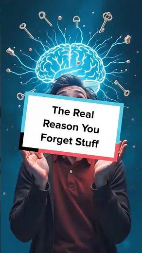 The Real Reason You Forget Stuff #didyouknow #brainscience #facts #scienceexplained