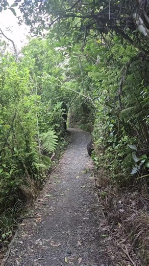 Trail running marathon training #traileunner #trailrunners #marathon