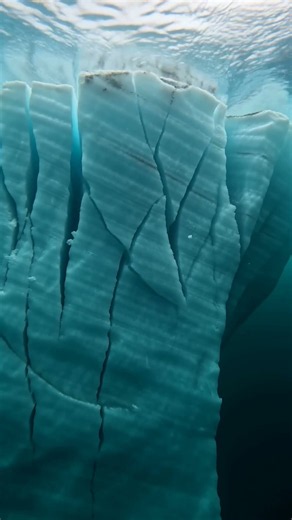 Glacier Collapse Caught on Camera 🧊 #glacier #nature