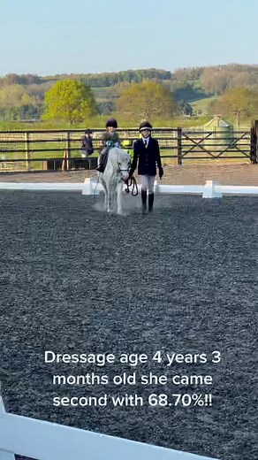 Kids Dressage: Pony Ride Training with Dressage Numbers