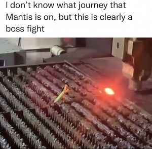 3.5M views · 44K reactions | What a little badass | Donut Operator | Facebook