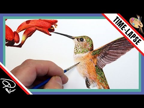 LEARN TO PAINT A HUMMINGBIRD IN WATERCOLOR | Wildlife Painting Tutorial Preview