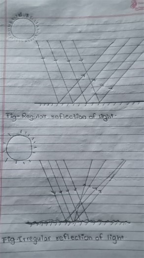diagram of regular reflection of light and irregular reflection of light 🕯️🚨