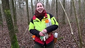 So erlebt eine Försterin den Klimawandel im Wald
