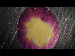 Ferroxyl indicator time-lapse