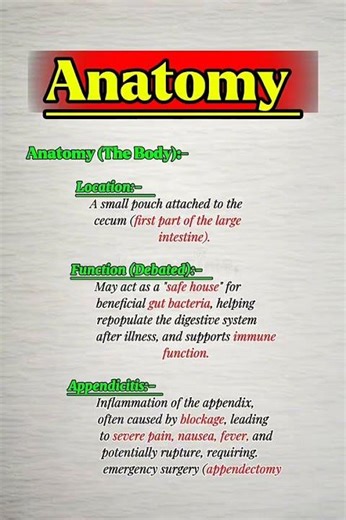 information about Appendix #anatomy #humananatomy #facts #humanbody