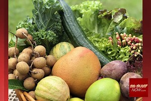 Kona, Hilo Food Drives Open to All on July 4 | Big Island Now