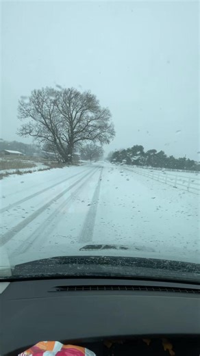 SmokingFish (@smokingfishguy)’s videos with original sound - SmokingFish