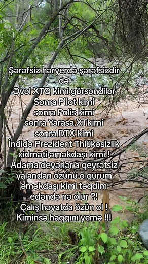 Exploring the Serene Flow of Nature's River