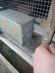 Watch Great feeder on Amazon Live