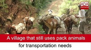 162K views · 2.8K reactions | A village that still uses pack animals for transportation needs | Ada Derana | Facebook