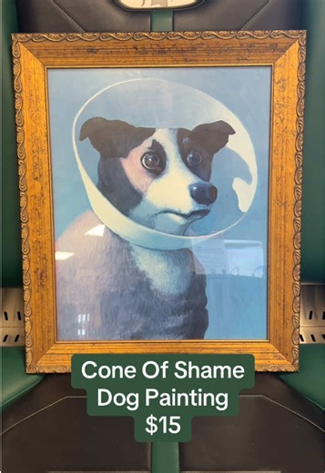 New year, new finds at the MSU Surplus Store! Shop Fridays 8am - 3:30pm #msu #surplus #gogreen #coneofshame