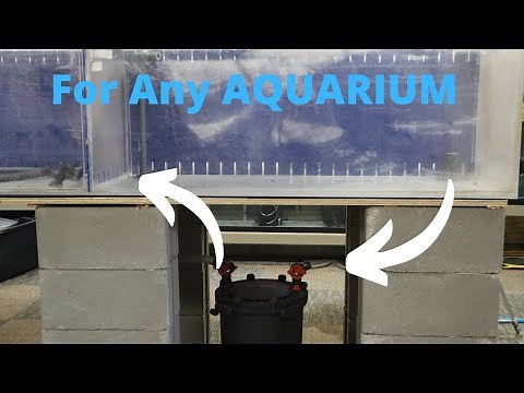 How To Use A Canister Filter As A OverFlow