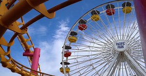 Video by Athena Sandrini on Pexels