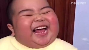 最“嘴欠”的鹈鹕，一张嘴是很多动物噩梦，连人类都不放过