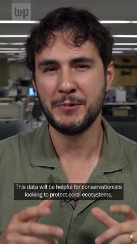 Fish can talk. Here's what they're saying.