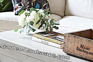 Plants: Change the color of hydrangeas - how it works! | 2025