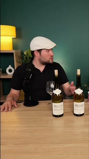 #wine #wines #whitewine #gastronomy #tasting #burgundy #chardonnay #budgetfriendly #buyingguide