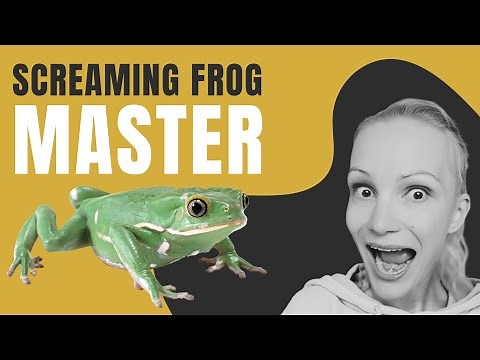 How to crawl your site with Screaming Frog SEO Spider (and make sense of its reports)