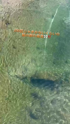 鮎釣りのテクニックを学ぶ追星會
