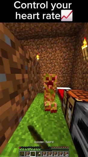 Minecraft heart rate meme