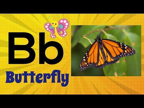 Insects ABC| A to Z Insects with pictures in english| Alphabets with Insects| Kids Learning