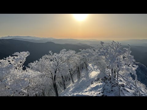 高見山 霧氷 無風 夕焼け2026年1月26日