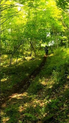 KX65 RIPS UP HILL CLIMB 🚀