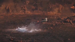 2.2M views · 41K reactions | Godzilla X Kong The New Empire : King Kong Vs Shimo (Ice Titan) https://youtube.com/@djfitness1?si=PF25l-aO3_ry16hO #GodzillaXKong #shimo #GodzillaXKongTheNewEmpire #newmovie #movie #clips #djfitness1 #fb #video #newvideo #titan #serpentine #tiamat #newmovies #kingkong #godzilla #newfeatures #icetitan | Djfitness1 | Facebook