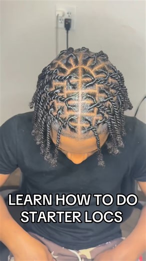 Danielle E. Brown on Instagram: "How to do starter locs #starterlocs #locs #fblifestyle #starterlocstyles #twostrandtwistlocs"