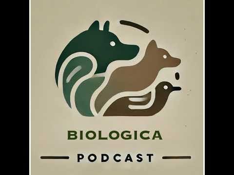 Shells, Spirals, and Survival: exploring mollusk shell diversity