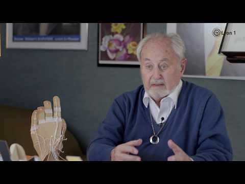 The anatomy of movement as seen by A. Kapandji