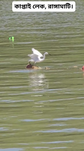 6.1K views · 64 reactions | DK Gaming on Reels | Facebook