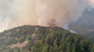 163K views · 858 reactions | HAPPENING NOW: This is video of the #GlassFire just now in The Palisades (Napa County) adjacent to the Robert Louis Stevenson State Park. | CAL FIRE Sonoma-Lake-Napa Unit | Facebook