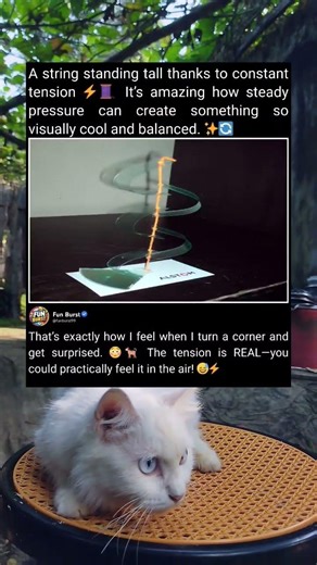 Tricky One-Color Puzzle That Hides Pieces Perfectly