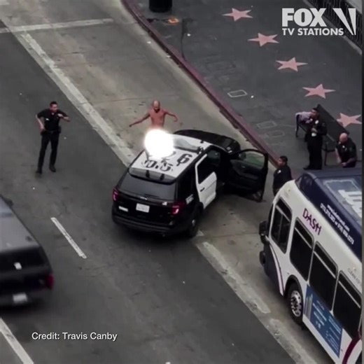 200K views · 4.5K reactions | CAUGHT ON CAMERA: A bizarre cell phone video shows a man jumping on top of a police cruiser parked along the Hollywood Walk of Fame. MORE: https://bit.ly/3zL0dzv | FOX 11 Los Angeles | Facebook