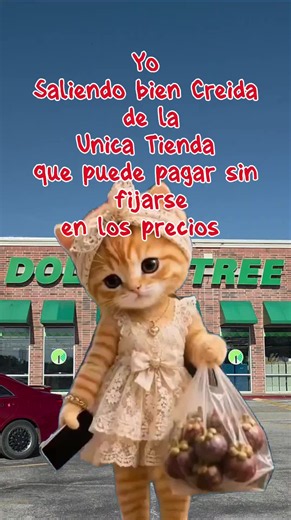 yo de creida jajjajajja #dollartree #shopping #fyp #trending #CapCut | Dollar Tree