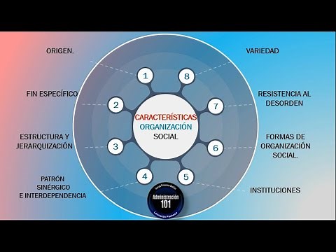 Organizacion Social: Concepto, Características y Tipos
