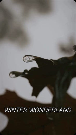 Alexander Cate “Tex” on Instagram: "@atex_media IF YOU LIVE IN THE SOUTH! You may or may NOT have seen this before. So Here’s an ASMR taste of the great white north.. 🇺🇸 (It’s as Beautiful as it is miserable!) We are luckily to have the periodic warm day in early and late winter! But when it melts, it means THIS. STRAIGHT to ICE! @sonyalpha A7IV @sony FE 20mm f/1.8 (No ND) @dji_ronin @dji RS4 Gimbal @smallrig.global Cage/Accessories @smallrig.global V Mount 99 Bat #atexmediaproductions"